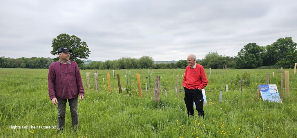 Agroforestry in Action