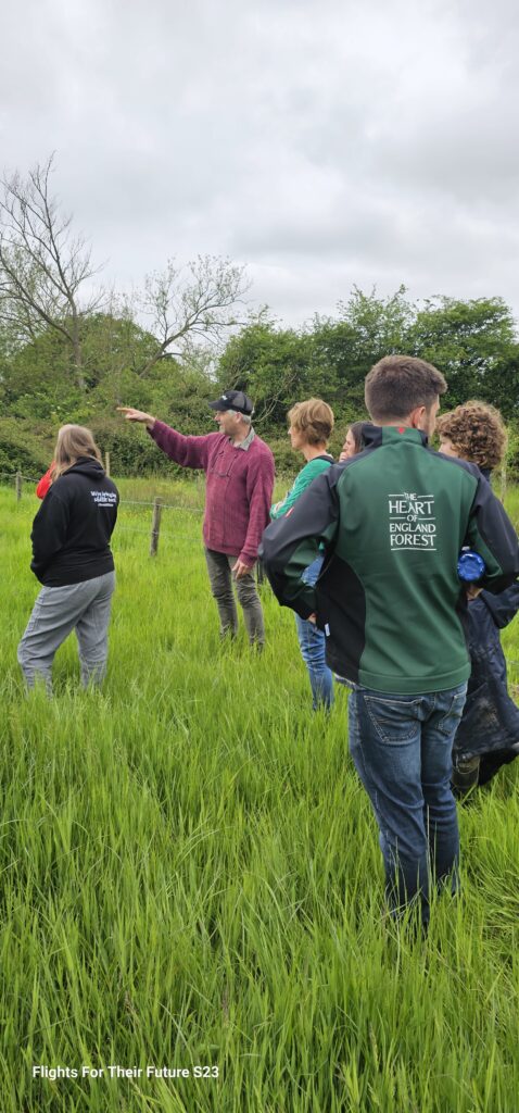 Agroforestry in Action