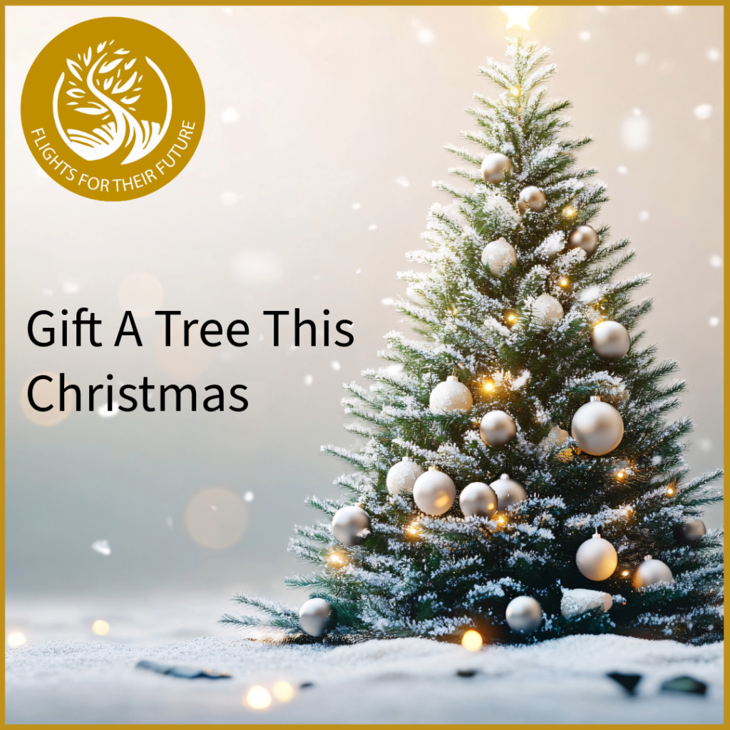 Gift A Christmas Tree