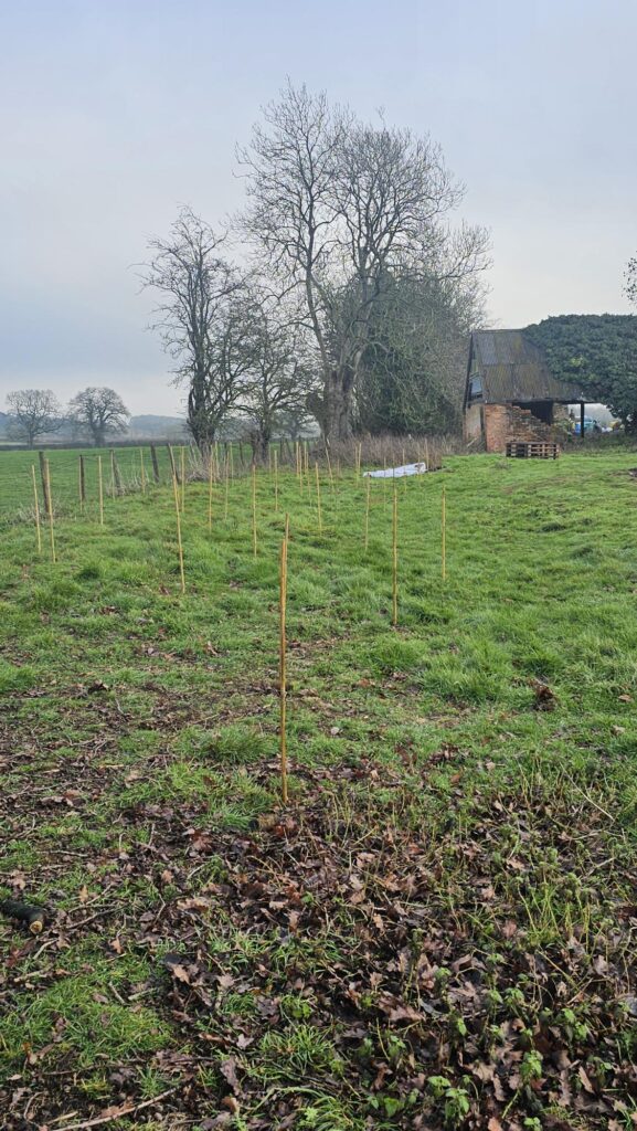 Planning and Plotting on Friday