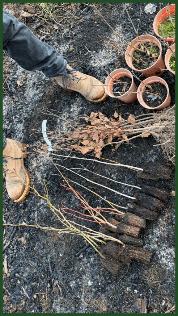 Pick a Mix to space out