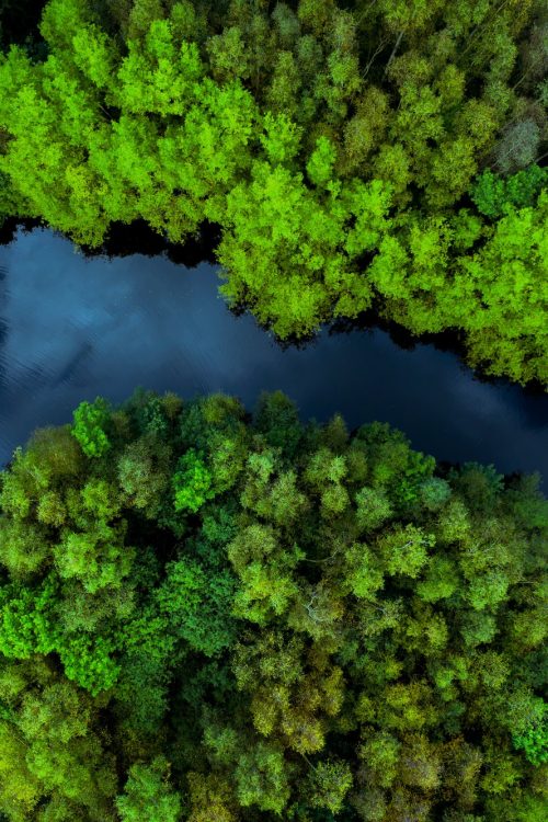 Jungle or rainforest canopy from above with river running through tree covered tropical islands